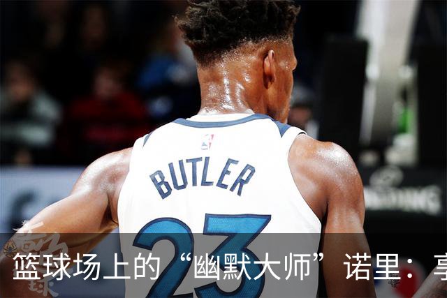 篮球场上的“幽默大师”诺里：享乐与竞争的完美结合